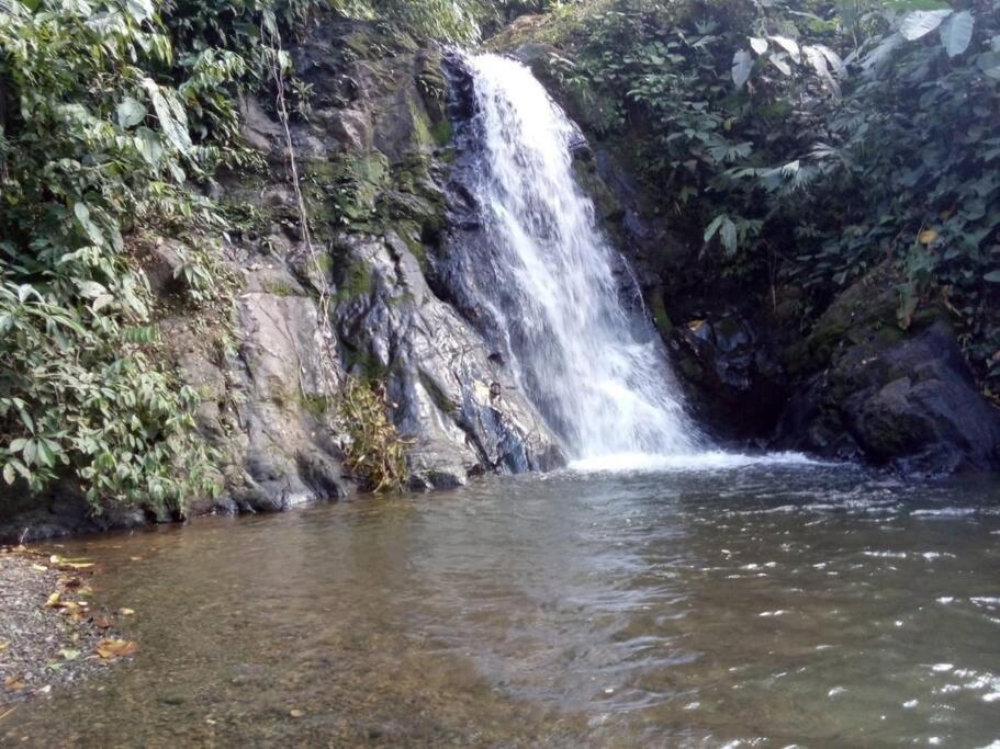 Hospedaje Valencia Osa, Cr Potrero  ภายนอก รูปภาพ