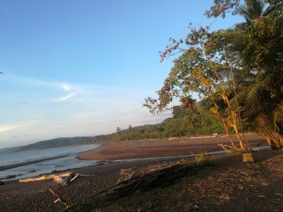 Hospedaje Valencia Osa, Cr Potrero  ภายนอก รูปภาพ