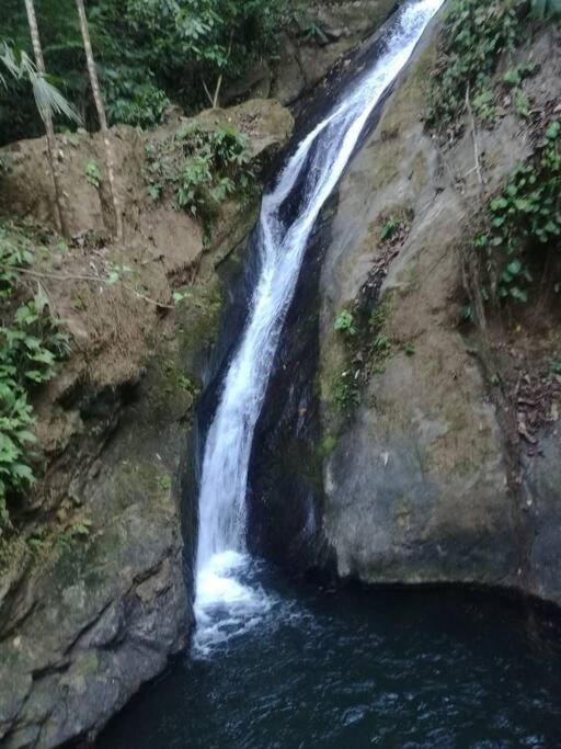 Hospedaje Valencia Osa, Cr Potrero  ภายนอก รูปภาพ