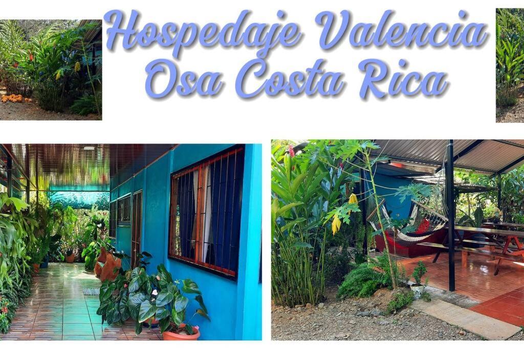 Hospedaje Valencia Osa, Cr Potrero  ภายนอก รูปภาพ