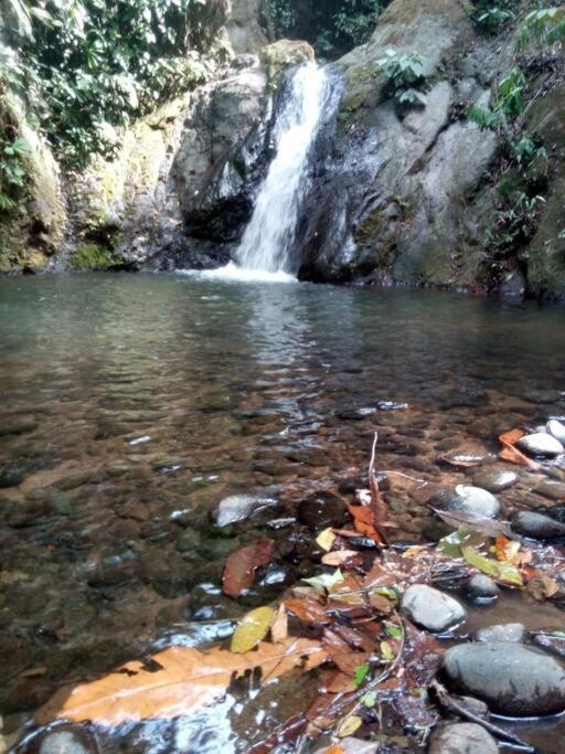 Hospedaje Valencia Osa, Cr Potrero  ภายนอก รูปภาพ