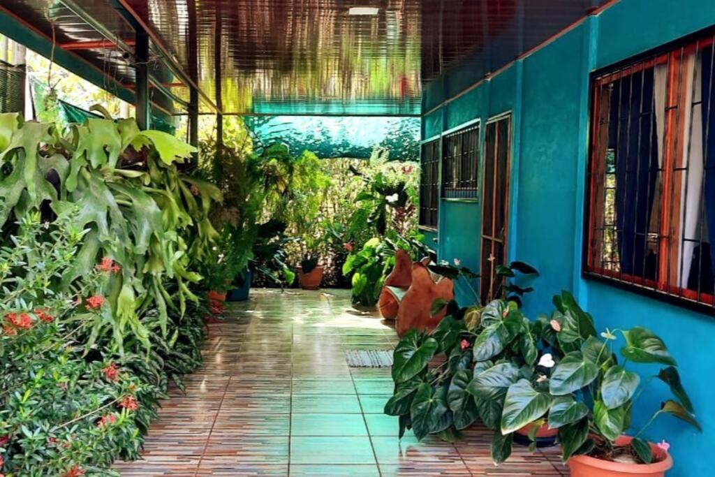 Hospedaje Valencia Osa, Cr Potrero  ภายนอก รูปภาพ