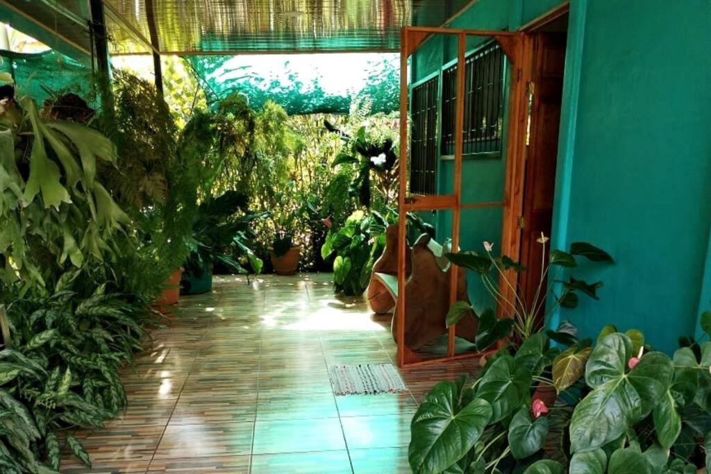 Hospedaje Valencia Osa, Cr Potrero  ภายนอก รูปภาพ
